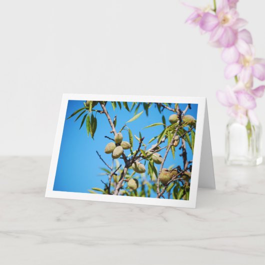 Amandelen op boomtak kaart (Orchidee)