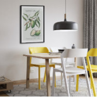 Amandelen, Poster met botanische illustratie