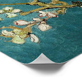 Amandelfilialen in Bloom Poster (Hoek)