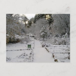 Amanecer Nevado Briefkaart