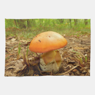 Amanita Césarée Champignons Serviette de thé