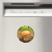 Amanita Césarée Magnet de champignons (In Situ (Lave-vaisselle))