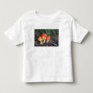 Amanita familie paddenstoel kinder shirts