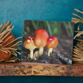 Amanita-gezamer Fotoplaat (Zijkant)