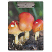 Amanita-gezamer Klembord (Voorkant)