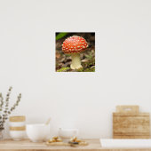 Amanita Mushroom Poster (Keuken)