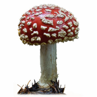 Amanita Mushroom Staand Fotobeeldje