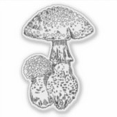 Amanita Mushroom Sticker (Voorkant)