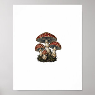 Amanita-paddenstoelgravure Poster