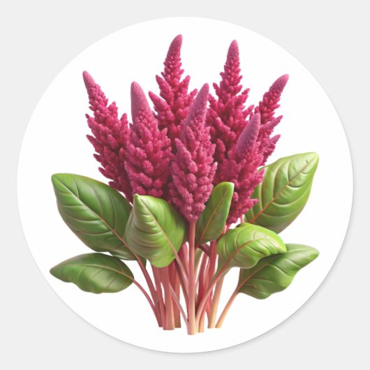 Amaranth Plastic 3D - Étiquette rond brillant (Devant)