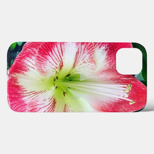 Amarilis roze wit kleur zachte bloem Case-Mate iPhone case (Achterkant (horizontaal))