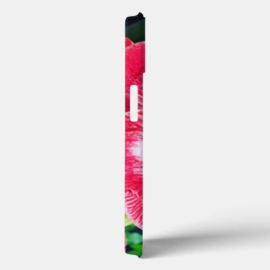 Amarilis roze wit kleur zachte bloem Case-Mate iPhone case (Achterkant / Rechts)