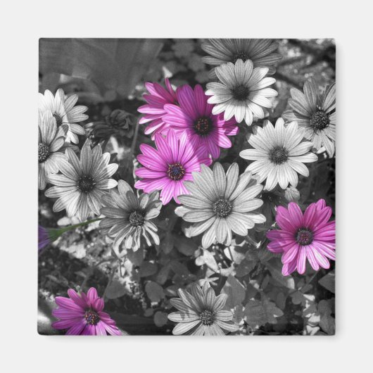 Amarrages africains BW Floral Magnet (Devant)