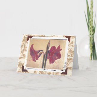 amaryllis_2 feestdagen kaart