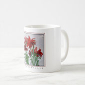 Amaryllis acide sur une tasse (Devant droit)