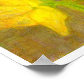 Amaryllis, Affiche (Coin)