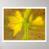 Amaryllis, Affiche (Devant)