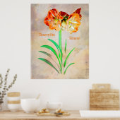 Amaryllis Amore Poster (Keuken)
