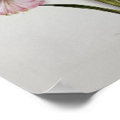 Amaryllis belladonna poster (Hoek)