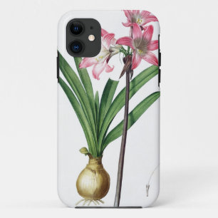 Amaryllis Belladonna, uit 'Les Liliacees', engrav iPhone 11 Hoesje