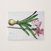 Amaryllis Belladonna, uit 'Les Liliacees', engrav Legpuzzel (Horizontaal)