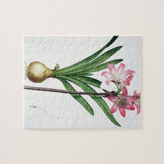 Amaryllis Belladonna, uit 'Les Liliacees', engrav Legpuzzel (Horizontaal)