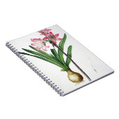 Amaryllis Belladonna, uit 'Les Liliacees', engrav Notitieboek (Rechterzijde)