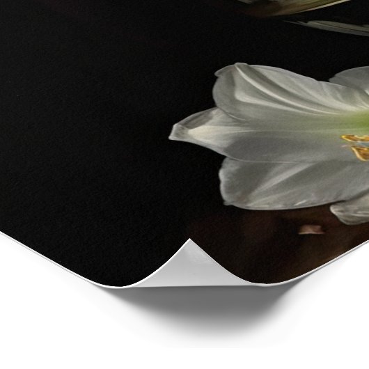 Amaryllis blanc Fleurs Art Imprimer Poster (Coin)