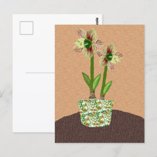 Amaryllis-Briefkaart Briefkaart