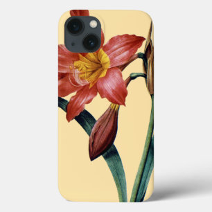 Amaryllis iPhone 13 Hoesje