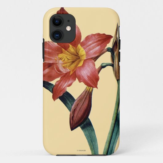 Amaryllis Case-Mate iPhone Case (Achterkant)