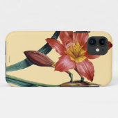 Amaryllis Case-Mate iPhone Case (Achterkant (horizontaal))
