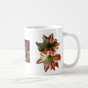 Amaryllis Christmas Mug
