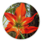 Amaryllis Closeup Ceramic Pull Keramische Knop (Voorkant)