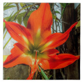 Amaryllis Closeup Ceramic Tile Tegeltje (Voorkant)
