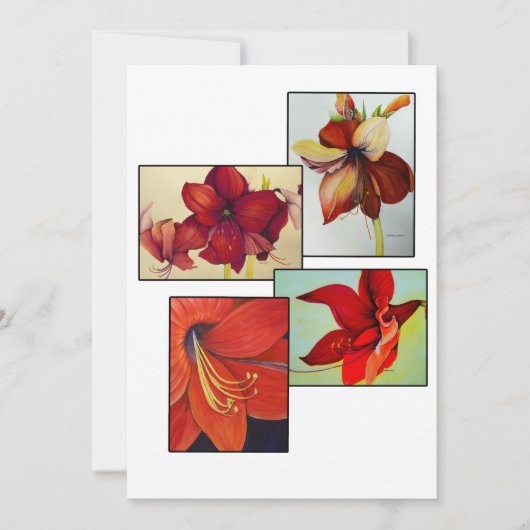 Amaryllis Collage Wenskaart (Voorkant)