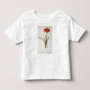 Amaryllis Curvifolia, 1809, van "Les" Kinder Shirts