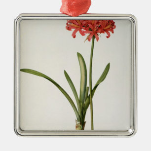 Amaryllis Curvifolia, 1809, van "Les" Metalen Ornament