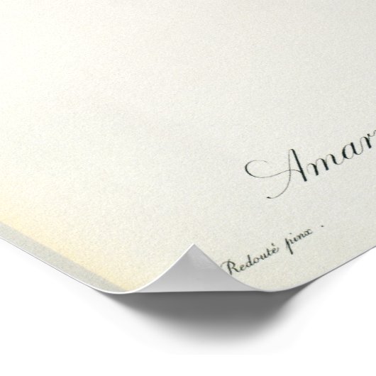 Amaryllis Curvifolia, 1809, van "Les" Poster (Hoek)