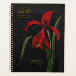 Amaryllis Grandiflora : Le Héraut de la Splendeur