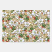 Amaryllis, Holly & Doves Inpakpapier Vel (Voorkant 3)