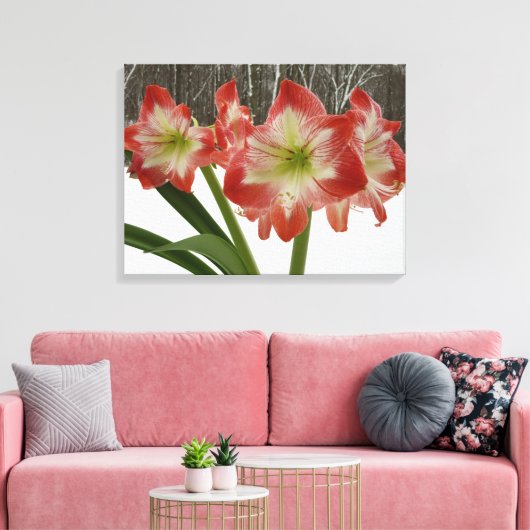 Amaryllis in Snow Red Holiday Winter Floral Canvas Afdruk (Insitu (Woonkamer))