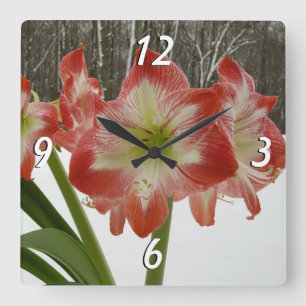 Amaryllis in Snow Red Holiday Winter Floral Vierkante Klok