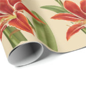 Amaryllis kerstmis (Lg. Afbeelding) Cadeaupapier (Rol Hoek)