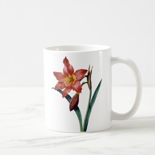 Amaryllis Koffiemok (Rechts)