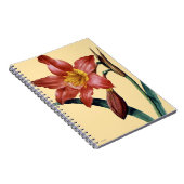 Amaryllis Notitieboek (Rechterzijde)