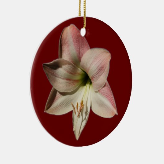 Amaryllis ~ ornament (Rechts)