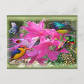 Amaryllis Party Uitnodiging Briefkaart (Voorkant)