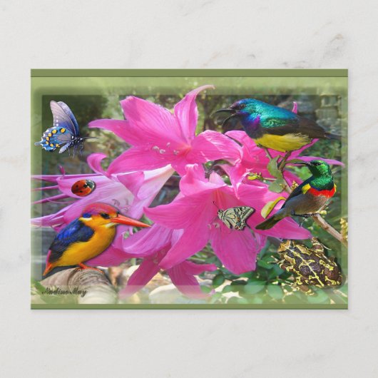 Amaryllis Party Uitnodiging Briefkaart (Voorkant)