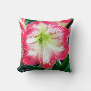 Amaryllis roze wit kleur zachte bloemtak kussen